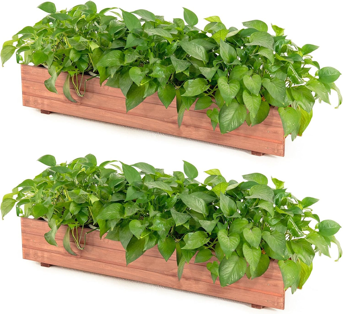 Raised Garden Bed Flower or Vegetable Planter (36" L X 7" W X 6.5" H)