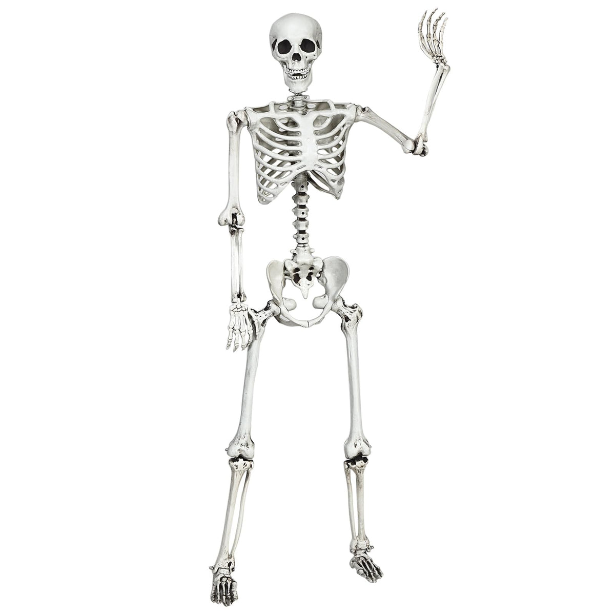 Lucktree Halloween Life Size Full Body Skeleton, 5.4Ft Festival Skeleton Prop Decoration