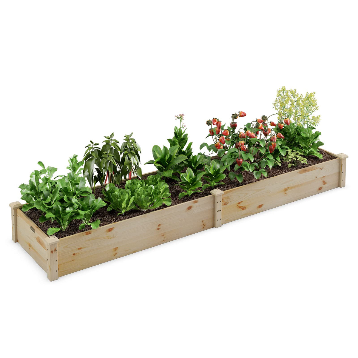 Lucktree Wooden Raised Garden Bed