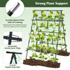 Garden Trellis for Climbing Vines, Outdoor Tomato & Cumber Trellis with A-Frame Support