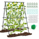 Garden Trellis for Climbing Vines, Outdoor Tomato & Cumber Trellis with A-Frame Support