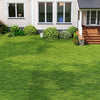 6x10 FT Artificial Grass Turf Rug, Thick Fake Lawn with Drainage Holes