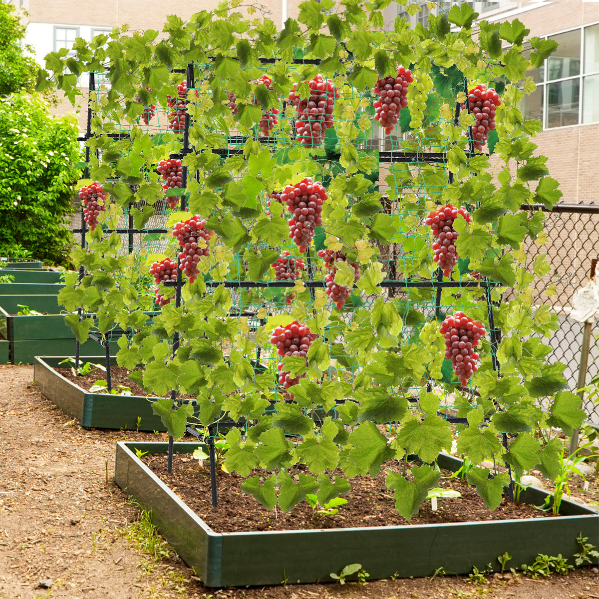 Garden Trellis for Climbing Vines, Outdoor Tomato & Cumber Trellis with A-Frame Support
