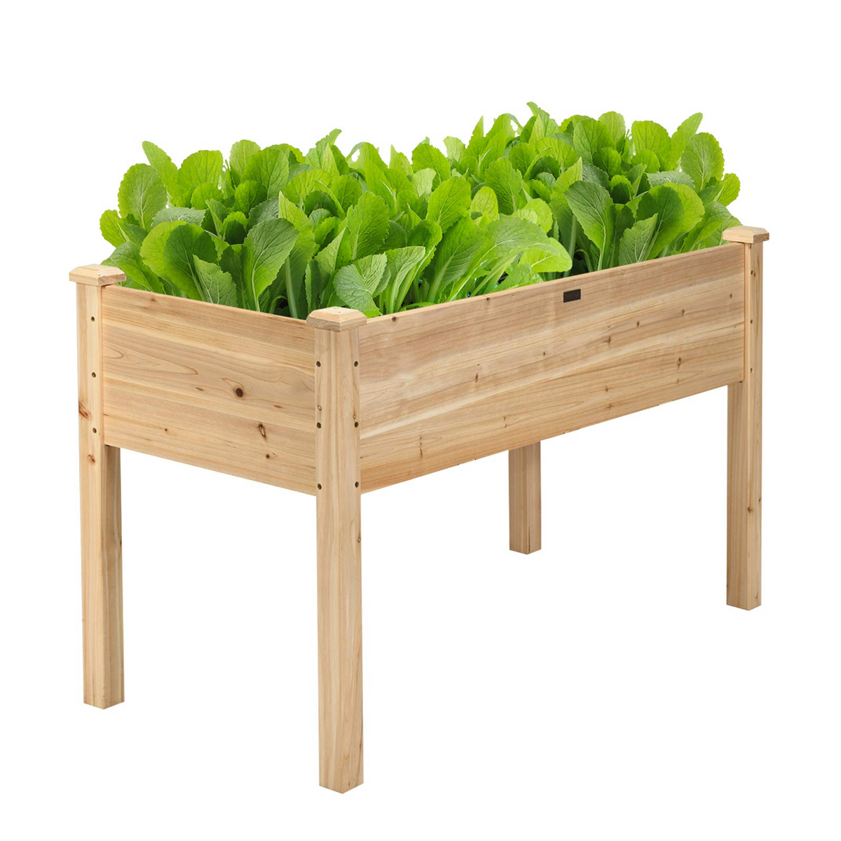 Raised Garden Bed with Legs