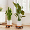 Lucktree 2 Pcs and 4 Pcs Plant Caddy with Wheels with 360° Lockable Casters