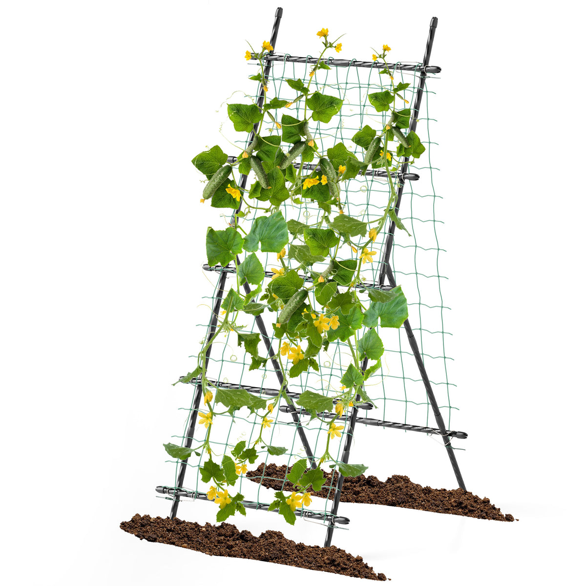74" Raised Bed Cucumber Trellis, Outdoor Garden Trellis w/Netting, PE-Coated Metal Plant Support for Climbing Vegetables