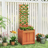 Lucktree Outdoor Wooden Raised Garden Bed with Trellis