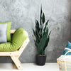 Artificial Snake Plant, 36" Fake Sansevieria - LucktreeUS