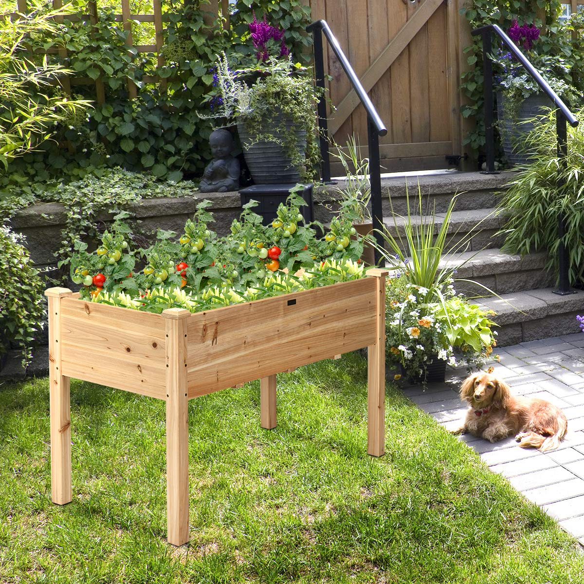 Raised Garden Bed with Legs