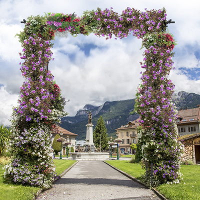 Lucktree Metal Garden Arch, Wedding Arbor for Ceremony, Pergola Arbor Garden Trellis for Various Climbing Plant