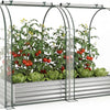 Lucktree 6x3x1 FT Galvanized Raised Garden Bed with Greenhouse Cover