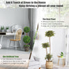 3 Ft /4 Ft Artificial Boxwood Topiary Tree, Fake Greenery Plants Ball Tree - LucktreeUS