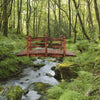 Lucktree 5 Ft Wooden Garden Bridge, Stained Wood/Natural Wood  Garden Bridge