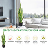 Artificial Snake Plant, 36" Fake Sansevieria - LucktreeUS