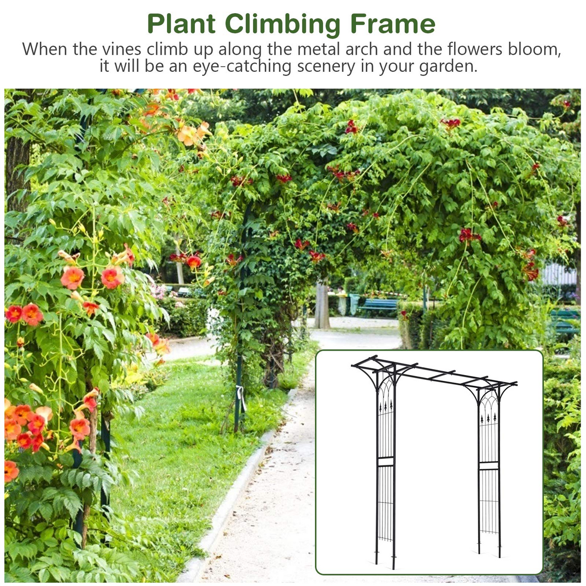 Lucktree Metal Garden Arch, Wedding Arbor for Ceremony, Pergola Arbor Garden Trellis for Various Climbing Plant