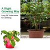 Lucktree Pack of 4 Plant Cage Support, Tomato Stakes and Cages (16''Lx 16''Wx 39''H (4 Pieces))