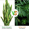 Artificial Snake Plant, 36" Fake Sansevieria - LucktreeUS
