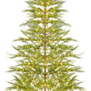 Lucktree 6.5ft / 7.5ft Simulated Artificial Cypress Xmas Tree with Warm-White Fairy LED Lights
