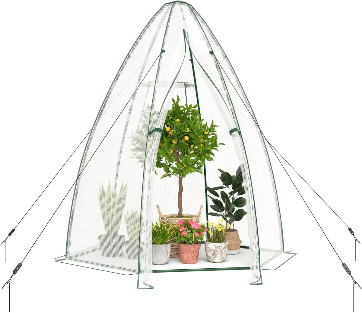 Lucktree Portable Walk-in Greenhouse - 5.5’x5.5’x6’ PE Cover, Roll-up Zippered Door, Window