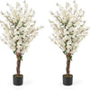 Lucktree 47” Faux Plum Blossom Plant with White Fabric Flower