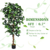 4/5.5/6FT FICUS Silk Leaf Artificial Tree - LucktreeUS