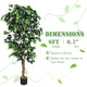 4/5.5/6FT FICUS Silk Leaf Artificial Tree - LucktreeUS