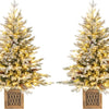 Lucktree 4 FT Pre-lit Entrance Christmas Tree with 231 Branch Tips and 100 LED Lights