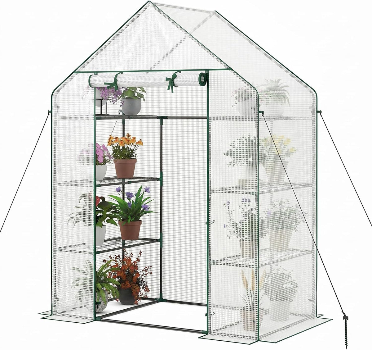 Greenhouse Outdoor Mini Walk-in Plant Green house for Plants