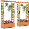 Lucktree Raised Garden Bed with 2-Sided Trellis & Hanging Roof