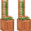 Lucktree Outdoor Wooden Raised Garden Bed with Trellis