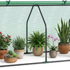 Lucktree Mini Portable Greenhouse w/ PE Cover Roll-Up Zipper