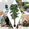 4/5.5/6FT FICUS Silk Leaf Artificial Tree - LucktreeUS