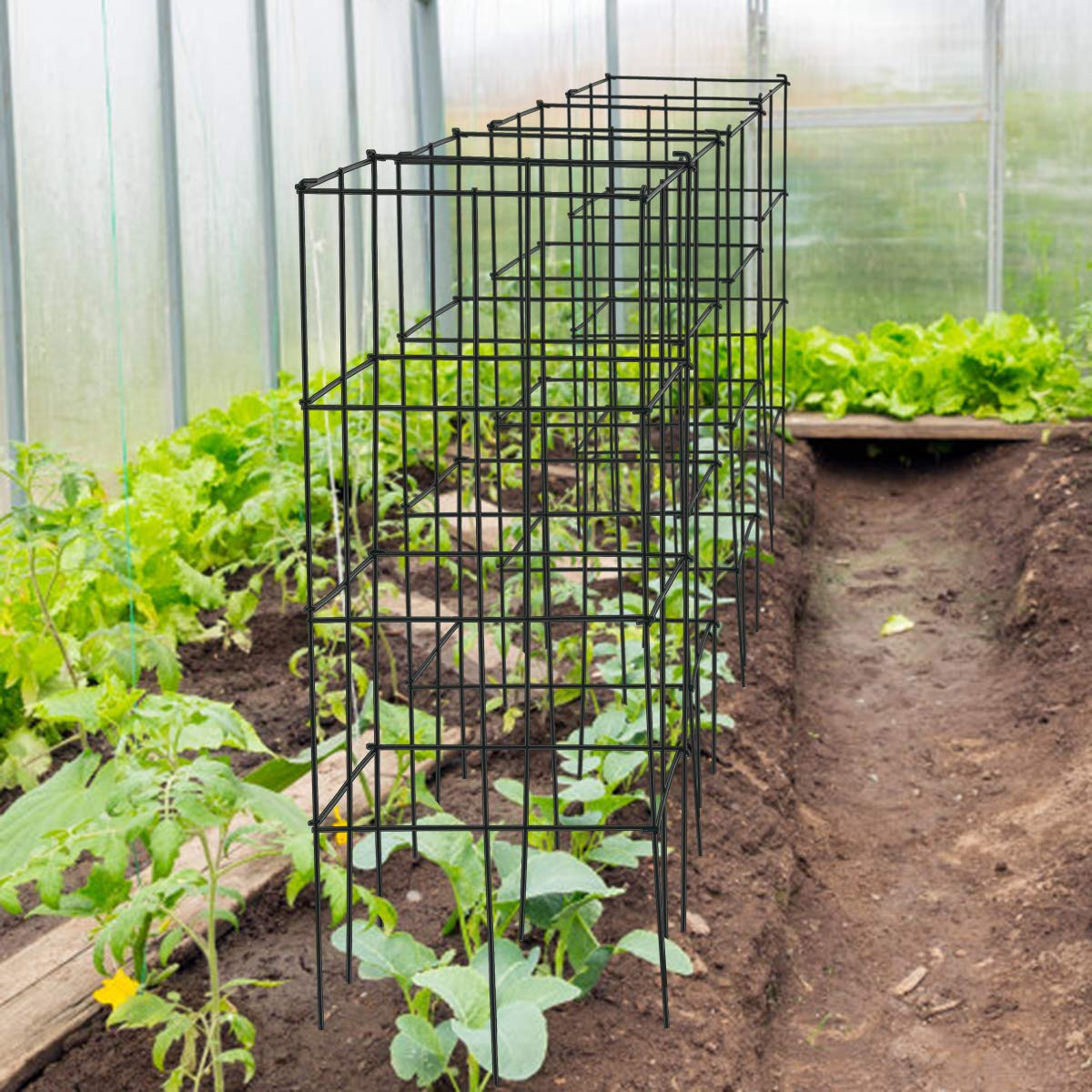 Lucktree Pack of 4 Plant Cage Support, Tomato Stakes and Cages (16''Lx 16''Wx 39''H (4 Pieces))