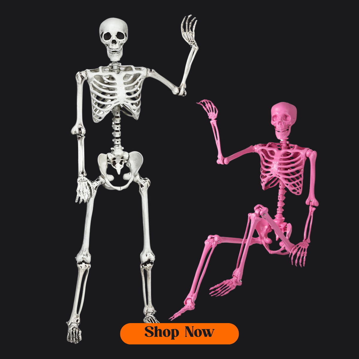 Halloween Skeleton