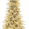 Lucktree 6FT / 7FT / 8FT Pre-Lit Snow Flocked Christmas Tree with PE & PVC Mixed Branch Tips
