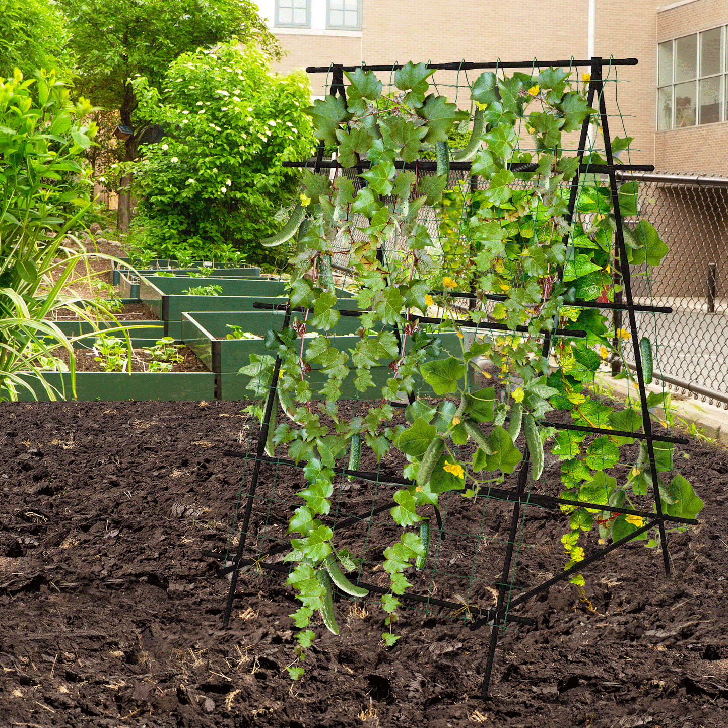 Garden Trellis for Climbing Vines, Outdoor Tomato & Cumber Trellis with A-Frame Support