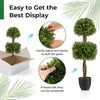 40" Artificial Boxwood Topiary Ball Tree, Double Ball Boxwood Plant with Cement-Filled Plastic Pot