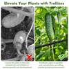 Garden Trellis for Climbing Vines, Outdoor Tomato & Cumber Trellis with A-Frame Support