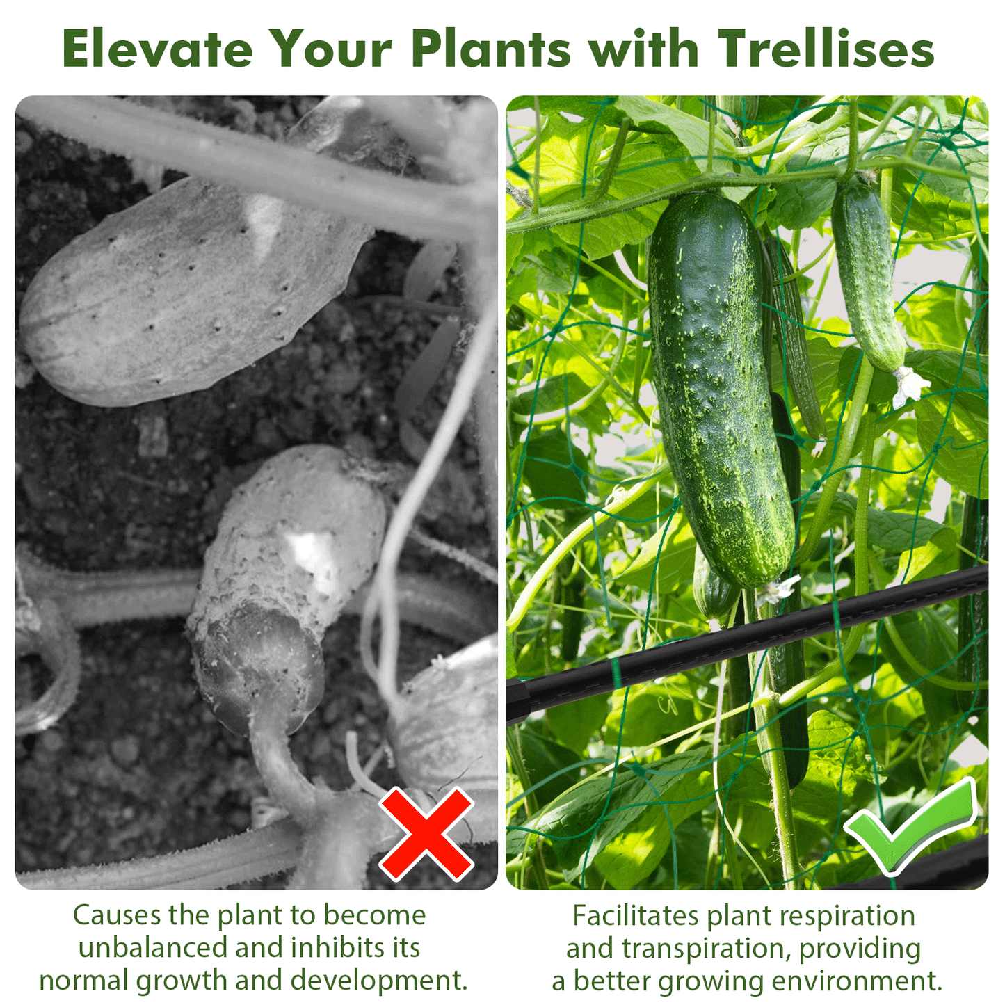 Garden Trellis for Climbing Vines, Outdoor Tomato & Cumber Trellis with A-Frame Support
