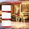 Lighted Christmas Reindeer Decoration, Small Holiday Deer Figure with 50 LED Lights & 4 Stakes