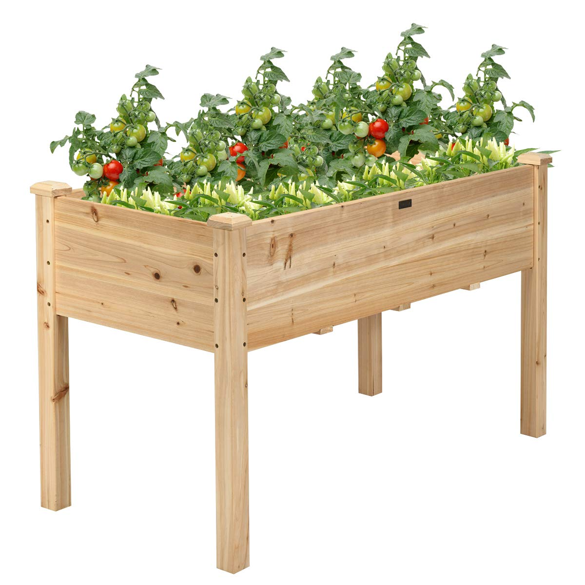 Raised Garden Bed with Legs