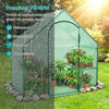 Lucktree 6x3x5.5 FT Mini Walk-in Greenhouse, with Roll-up Zippered Door & Window, Overlong PE Cover