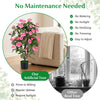 Lucktree 35.5" Artificial Rose Tree with 32 Blooming Flowers | Free Maintenance