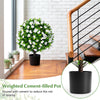 Lucktree 2 Pack Artificial Eucalyptus Topiary Ball Trees w/Flowers & Cement Filled Planter