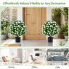 Lucktree 2 Pack Artificial Eucalyptus Topiary Ball Trees w/Flowers & Cement Filled Planter