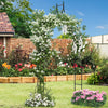 Metal Garden Arch, Rose Garden Arbor for Various Climbing Plant, Outdoor Lawn Backyard