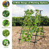 Garden Trellis for Climbing Vines, Outdoor Tomato & Cumber Trellis with A-Frame Support