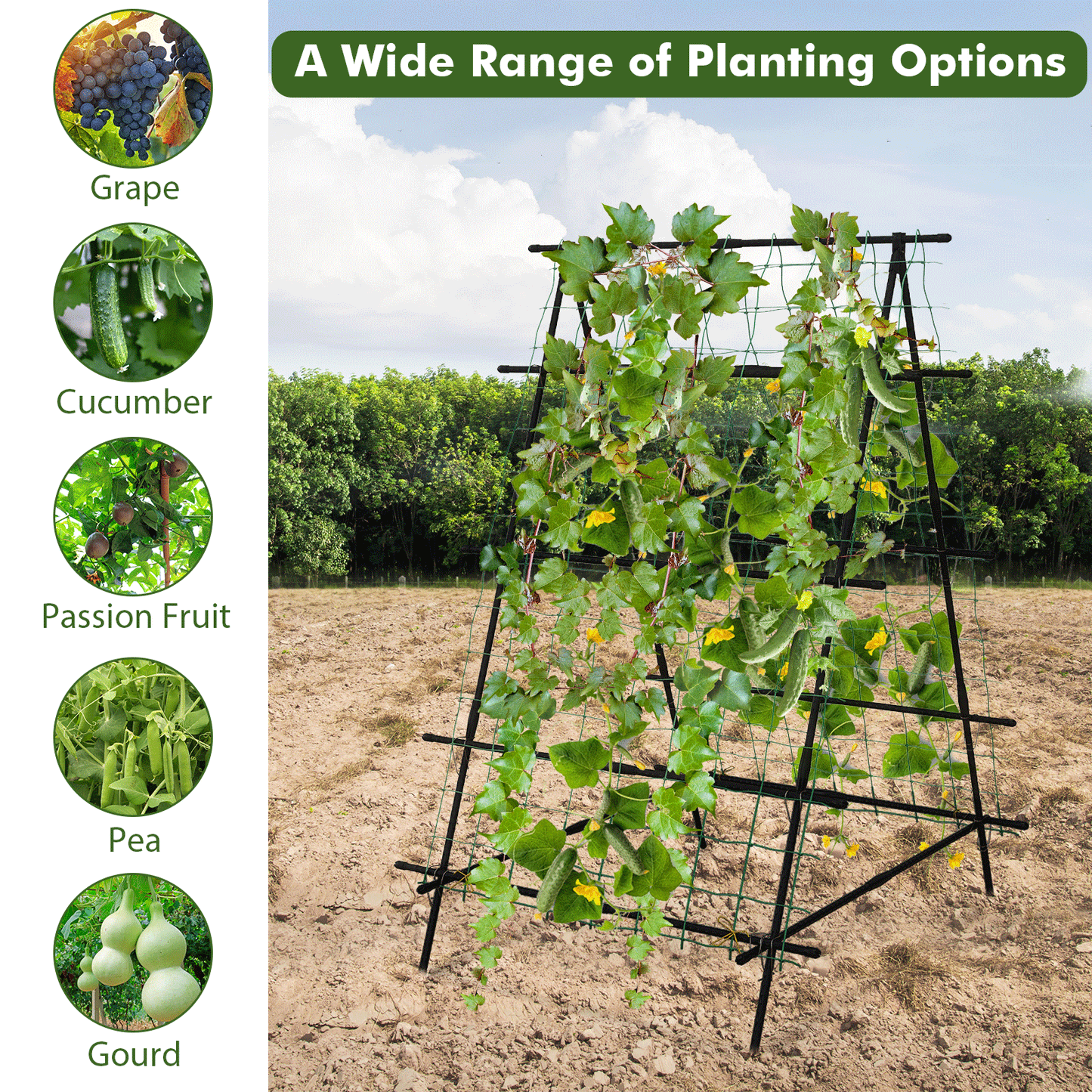 Garden Trellis for Climbing Vines, Outdoor Tomato & Cumber Trellis with A-Frame Support