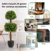 40" Artificial Boxwood Topiary Ball Tree, Double Ball Boxwood Plant with Cement-Filled Plastic Pot