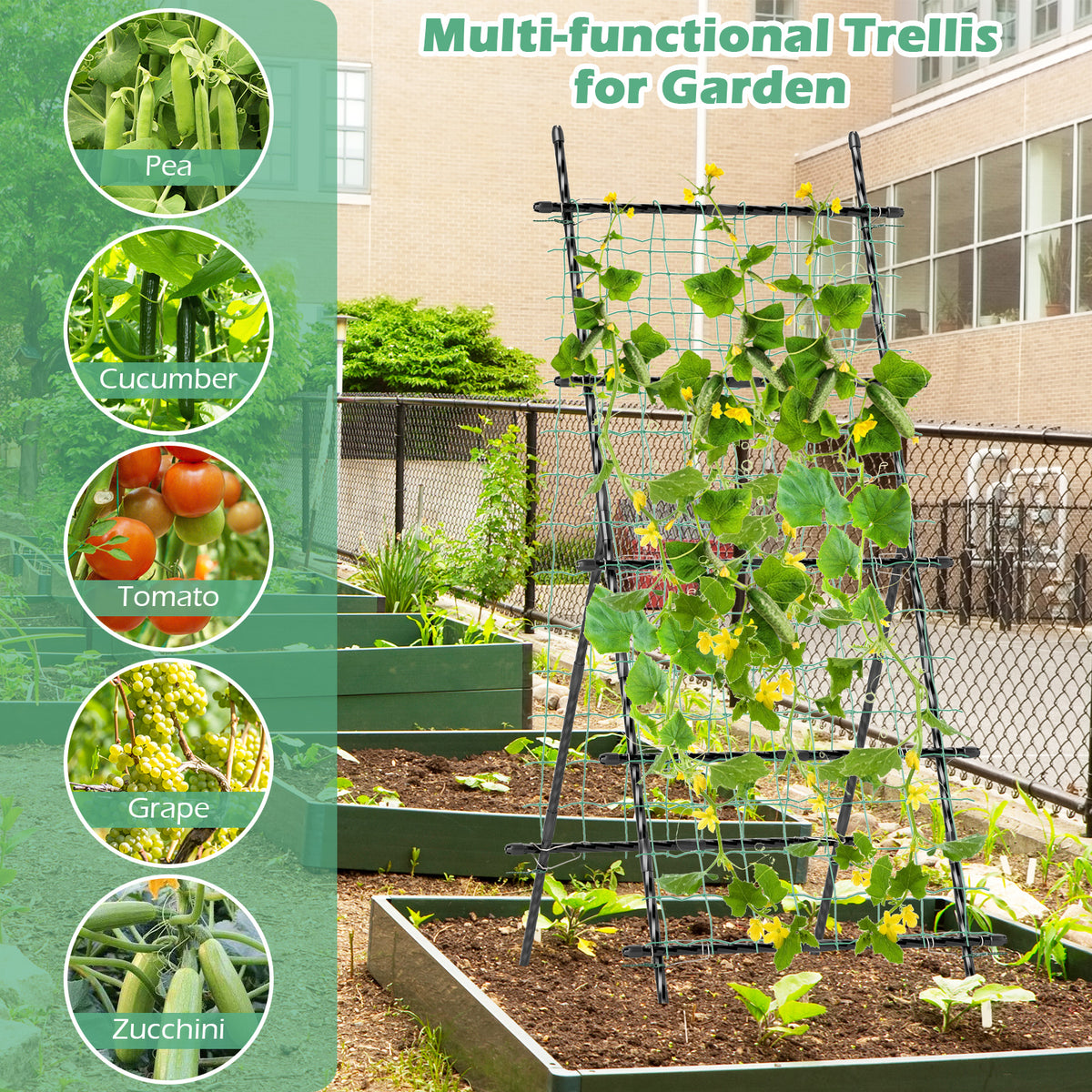 74" Raised Bed Cucumber Trellis, Outdoor Garden Trellis w/Netting, PE-Coated Metal Plant Support for Climbing Vegetables